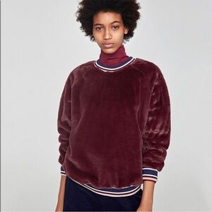 Zara Plush Pullover Teddy Burgundy Sweater Large